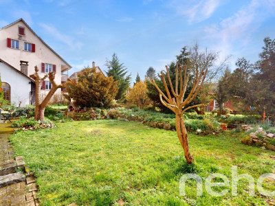 Reihenmittelhaus mit gemütlichem Garten und viel Ausbaupotential image 4