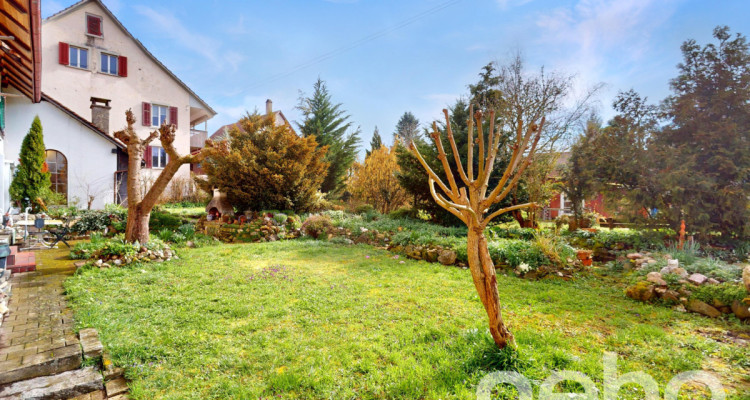 Reihenmittelhaus mit gemütlichem Garten und viel Ausbaupotential image 4