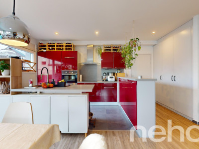 Magnifique 4.5p en rez-de-chaussée avec grandes terrasses image 5