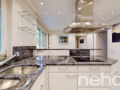 Grosszügiges Einfamilienhaus in der Stadt Zürich an ruhiger Lage image 7