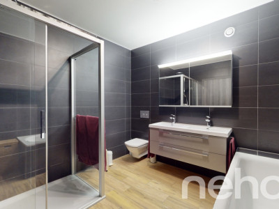 Rare! 4.5 pièces lumineux et sa terrasse avec vue dégagée image 9