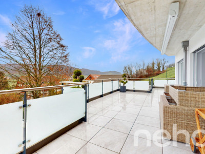 Rare! 4.5 pièces lumineux et sa terrasse avec vue dégagée image 11