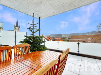 Rare! 4.5 pièces lumineux et sa terrasse avec vue dégagée image 12