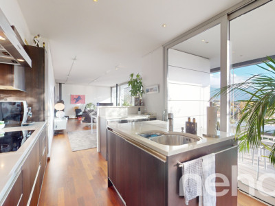 Lumineux attique de standing avec vue panoramique sur le lac image 9