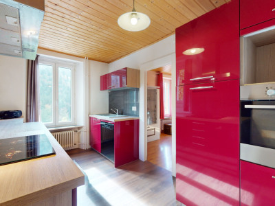 Spacieuse maison bi-familiale avec jolie vue et grand terrain image 5