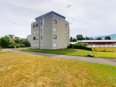 Sonnenverwöhnte 3.5-Zimmerwohnung am Ufer des Bodensees image 3