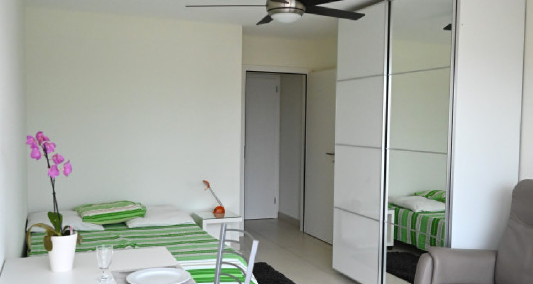 Mies (ref Mcm3):Chambre meublée avec SDB privée, bacon vue lac image 2