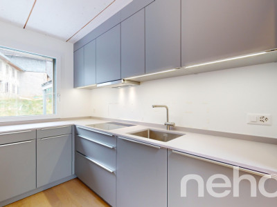 Sur les hauts de Vevey image 5