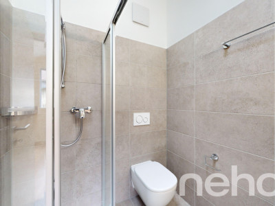 Sur les hauts de Vevey image 10