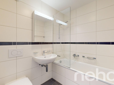 Lumineux 3.5 pièces Minergie à Martigny image 7