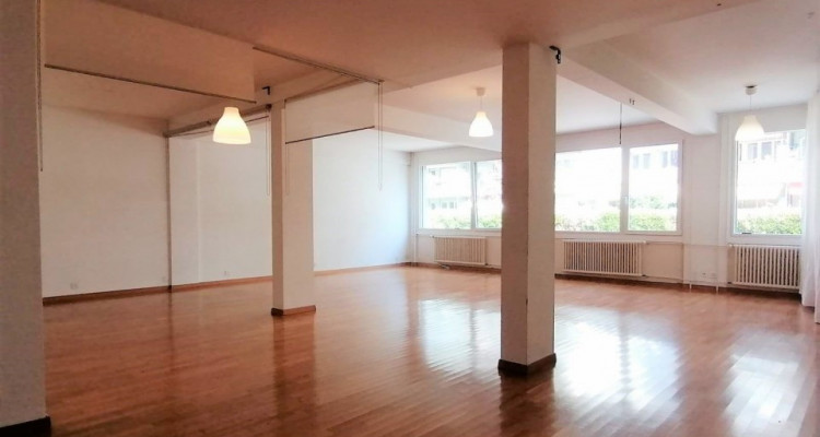 Beau loft lumineux proche de Balexert image 5