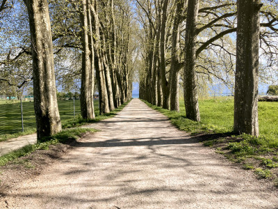 LAUSANNE SUD-OUEST - MAISON RENOVEE - LAC A 500M image 2