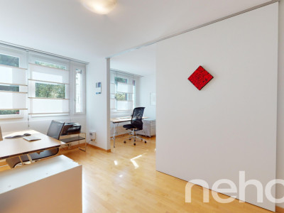 4.5-Zimmer Reihenmittelhaus mit viel Privatsphäre im Kreis 6 image 11