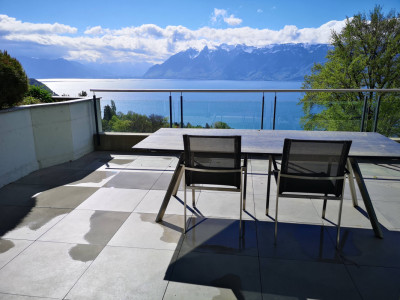 Magnifique appartement avec vue lac et Lavaux, grande terrasse & jardin image 1