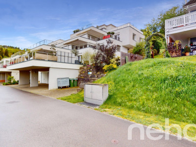 Grosszügige 3.5-Zimmer Terrassenwohnung mit Weitsicht image 2