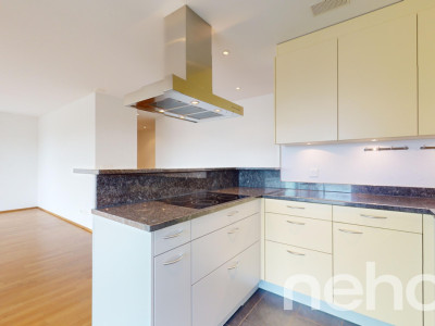 Grosszügige 3.5-Zimmer Terrassenwohnung mit Weitsicht image 6