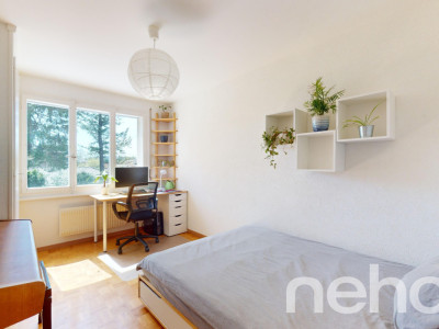 Exclusif: spacieux 5.5 pièces avec grand jardin et studio indépendant image 4