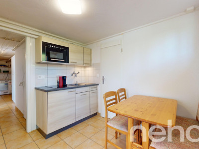 Exclusif: spacieux 5.5 pièces avec grand jardin et studio indépendant image 9