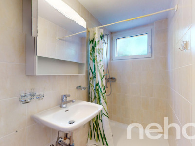 Exclusif: spacieux 5.5 pièces avec grand jardin et studio indépendant image 10