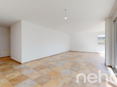 Schöne Wohnung mit grosser Terrasse und XL Parkplatz image 8