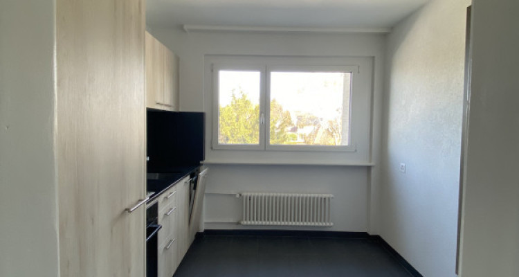 Appartement Fribourg - 2 pièces image 2