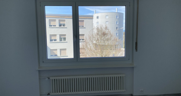Appartement Fribourg - 2 pièces image 6
