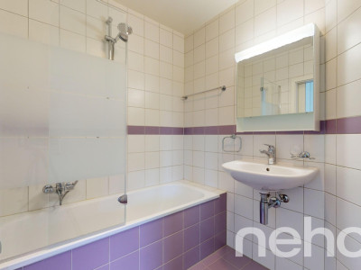 Joli appartement sans vis-à-vis, belle vue dégagée sur les montagnes image 10