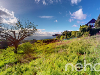 Rare - Magnifique parcelle avec vue sur le lac à 180 ° image 9
