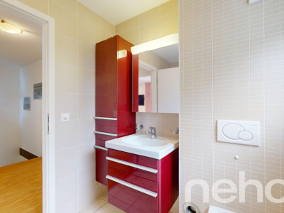 A quelques minutes du centre Bernex image 12