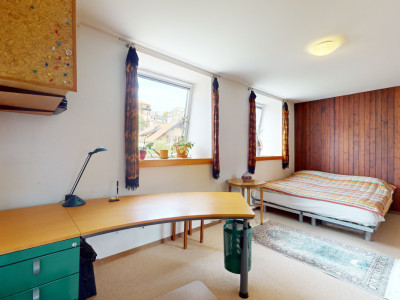 Grand appartement lumineux avec jardin commun image 9