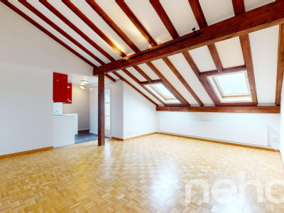 Magnifique appartement en attique avec deux balcons image 1