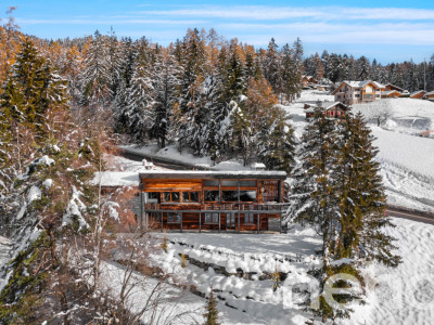 Bienvenue à Crans-Montana, lécrin de votre rêve alpin ! image 2