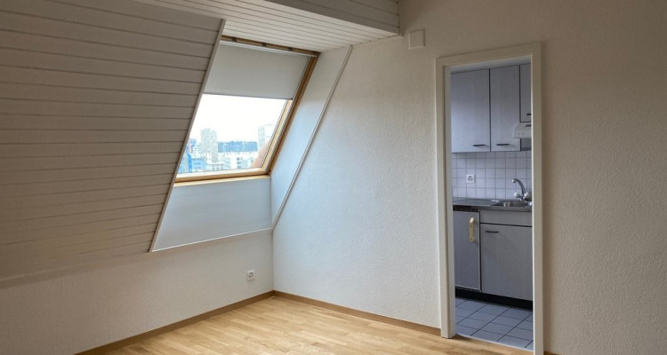 Appartement Fribourg - 1 pièce image 3