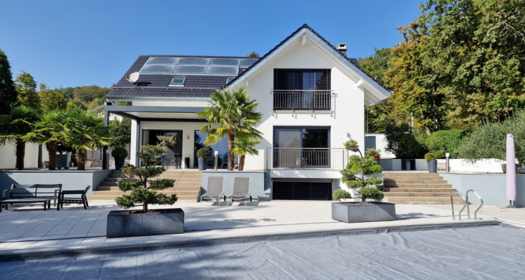 Magnificent Villa, pool, sauna & palm trees , only 8 minutes from Nyon image 6