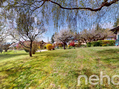 Très jolie parcelle pour la construction dune villa individuelle image 8