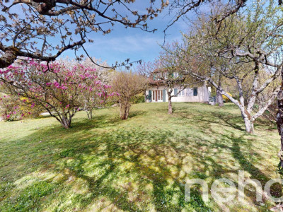 Très jolie parcelle pour la construction dune villa individuelle image 11