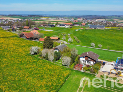 Ihr neues Projekt mitten in der Landwirtschaftszone von Wünnewil! image 3