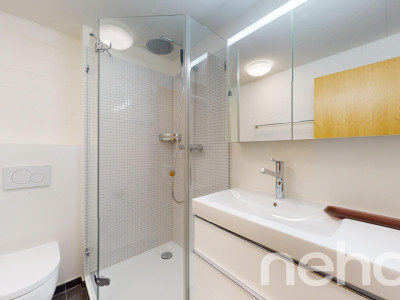 5.5-Zimmer Doppelhaushälfte mit fantastischer Aussicht image 9