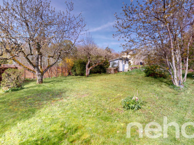 Rare - Charmante maison individuelle au calme et proche des commodités image 3