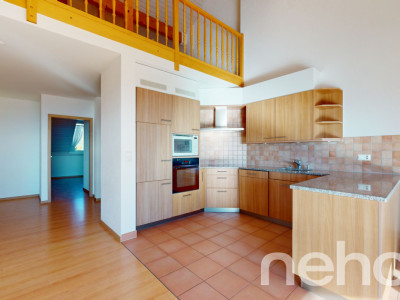 Magnifique duplex avec vue imprenable sur le lac et les montagnes image 6