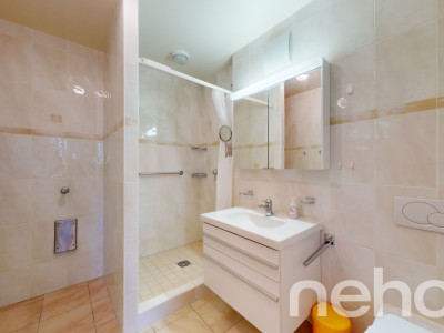 Magnifique duplex avec vue imprenable sur le lac et les montagnes image 10