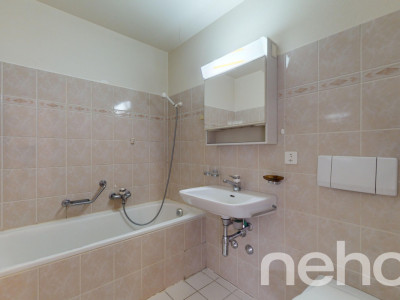 Charmant appartement au Bouveret image 12