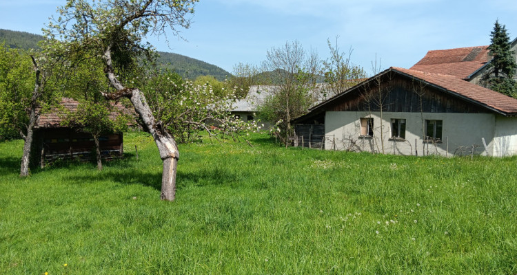 Magnifique ferme de 196 m2 habitable, située au Val Terbi ,Courchapoix image 4