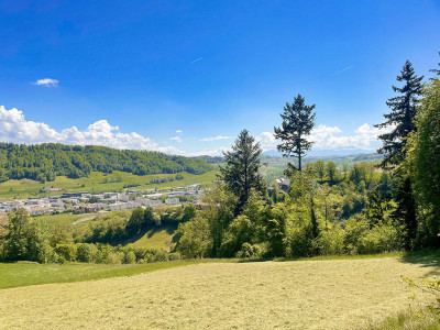 MOUDON - DEUX BELLES VILLAS - CALME BELLE SITUATION image 2