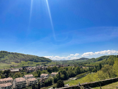 MOUDON - DEUX BELLES VILLAS - CALME BELLE SITUATION image 3