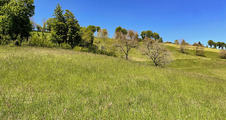 MOUDON - DEUX BELLES VILLAS - CALME BELLE SITUATION image 1