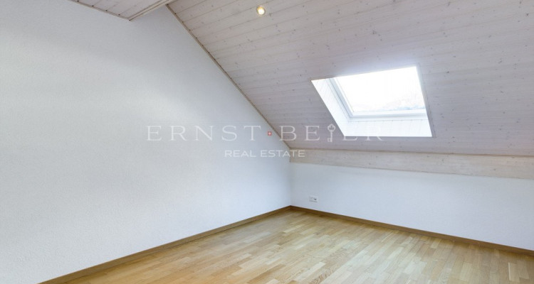 Magnificent 5.5 rooms penthouse flat in Lavey image 9