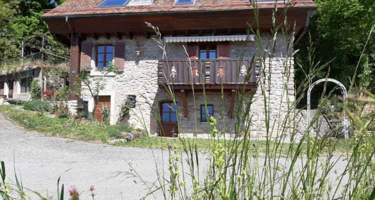 Magnifique petite maison située au coeur des vignes du Lavaux image 1