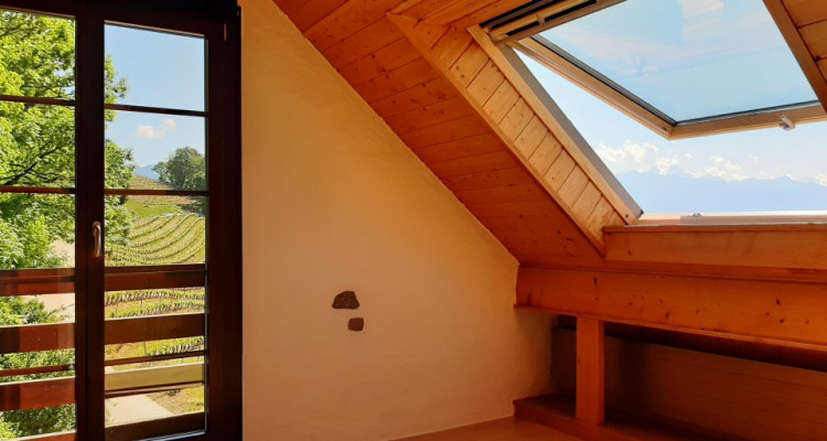 Magnifique petite maison située au coeur des vignes du Lavaux image 3