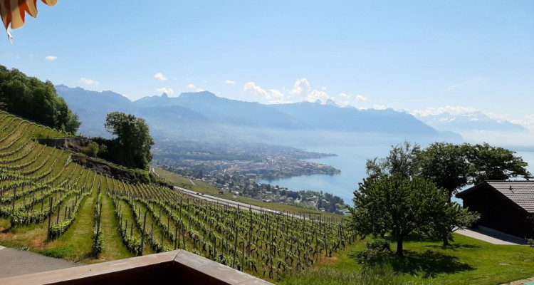 Magnifique petite maison située au coeur des vignes du Lavaux image 4